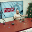 «ГорДозор»: Планы ремонта дорог на 2025 год. ВИДЕО - Pln-Pskov.Ru