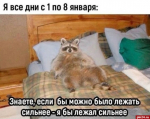 Постновогодние нытики