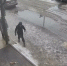 Расправа малолетних живодеров над зайцем в Пскове попала на видео - Комсомольская правда