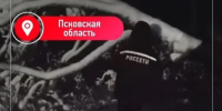 Энергетики убрали 1275 деревьев с ЛЭП в Псковской области после циклона «Чарли» - Комсомольская правда