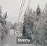 5,5 тыс человек в Псковской области остаются без электричества - Pln-Pskov.Ru
