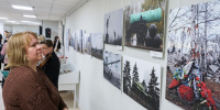 Фотовыставка «Цветы с фронта. Донецкая тишина» открылась в Псковской областной библиотеке имени Курбатова - Правительство Псковской области