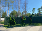 Кот на счастье, медведи и сердца: необычные скульптуры Великих Лук