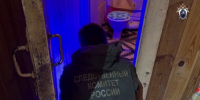 Жительница Палкино предстанет перед судом за убийство новорожденного - Псковская правда