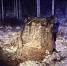 Фото здесь и далее: ПАИ - InformPskov.Ru