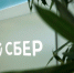 Количество срочных вкладов в Сбере в Псковской области в 2024 году выросло на 36% - Pln-Pskov.Ru