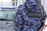 В Острове сотрудники Росгвардии задержали мужчину, подозреваемого в причинении телесных повреждений