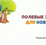 Навыкам поиска людей обучат желающих в Пскове и Великих Луках - InformPskov.Ru