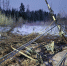 Эстонская компания демонтировала ЛЭП между Тарту и Псковом - Pln-Pskov.Ru