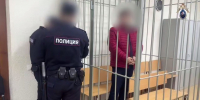 Обвиняемого в мошенничестве заместителя главврача Псковского перинатального центра заключили под стражу - Псковская правда