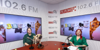 «Зверьё моё»: Всё о содержании и уходе за мопсами. ВИДЕО - Pln-Pskov.Ru