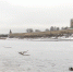 Морозная погода ждет жителей Псковской области на следующей неделе - ГТРК Псков