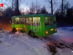 Автобус и микроавтобус столкнулись в Псковском районе