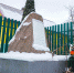 denzashitnika230125-2.jpg - Псковская научная библиотека
