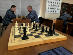 Шахматный турнир среди сотрудников Росгвардии состоялся в Пскове