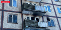 ​Квартира с котятами внутри загорелась на улице Юбилейной в Пскове - InformPskov.Ru