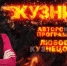Начинается видеотрансляция программы «Кузница»: Я б в чиновники пошел, пусть меня научат... - Pln-Pskov.Ru