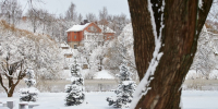 До +7 градусов и без осадков ожидается в Псковской области 26 февраля - Псковская правда