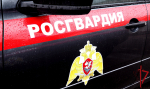 В Пскове росгвардейцы задержали подозреваемых в хищении