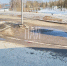 Фото здесь и далее: ПАИ - InformPskov.Ru