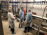 Псковскую птицефабрику обязали устранить нарушения санитарного законодательства