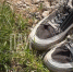 Фото: ПАИ - InformPskov.Ru