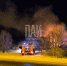 Пожар в Куньинском районе - InformPskov.Ru