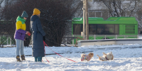 Синоптики прогнозируют выпадение снега в марте в Псковской области - Pln-Pskov.Ru