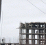 Фото: группа микрорайона Родина в ВК - InformPskov.Ru