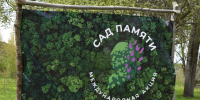 Международная акция «Сад памяти»                       - Комитет по природным ресурсам и экологии