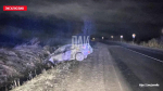 Двое детей пострадали после съезда автомобиля в кювет в Дедовичском районе