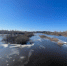 Весенний паводок в Псковской области в 2024 году. Фото: ПАИ - InformPskov.Ru