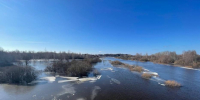 Весенний паводок в Псковской области в 2024 году. Фото: ПАИ - InformPskov.Ru