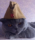 Итоги конкурса фотографии «Мой любимый питомец».