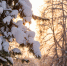Фото: ПАИ - InformPskov.Ru