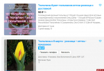 Почем тюльпаны?
