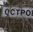 Фото и видео здесь и далее из архива автора - InformPskov.Ru