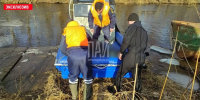 Тело утонувшего рыбака обнаружили в Чудском озере - InformPskov.Ru