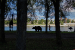 Псковский фотограф экспериментирует с абсурдными элементами в городских пейзажах