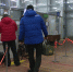 Возобновление утренних рейсов из Москвы в Псков запланировано на 17 марта - ГТРК Псков