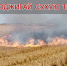 Пал и дом пропал - МЧС Псковской области