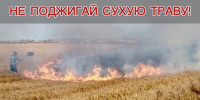 Пал и дом пропал - МЧС Псковской области