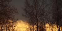 Фотофакт: Первые палы травы фиксируют в Псковской области - Pln-Pskov.Ru