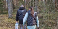 Тело новорожденного в женской сумке обнаружили в себежском лесу - Pln-Pskov.Ru