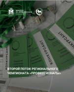 Второй поток регионального чемпионата «Профессионалы» в Псковской области                     