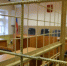 В Псковской области ФСБ задержала женщину за махинации с SIM-картами - Комсомольская правда