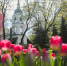 Фото: ПАИ - InformPskov.Ru