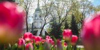 Фото: ПАИ - InformPskov.Ru