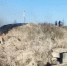 Юных поджигателей травы засняли очевидцы в Великих Луках - Комсомольская правда