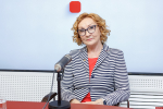 Итоги конкурса проектов благоустройства Гремячей горы подведут на следующей неделей : Псковская Лента Новостей / ПЛН